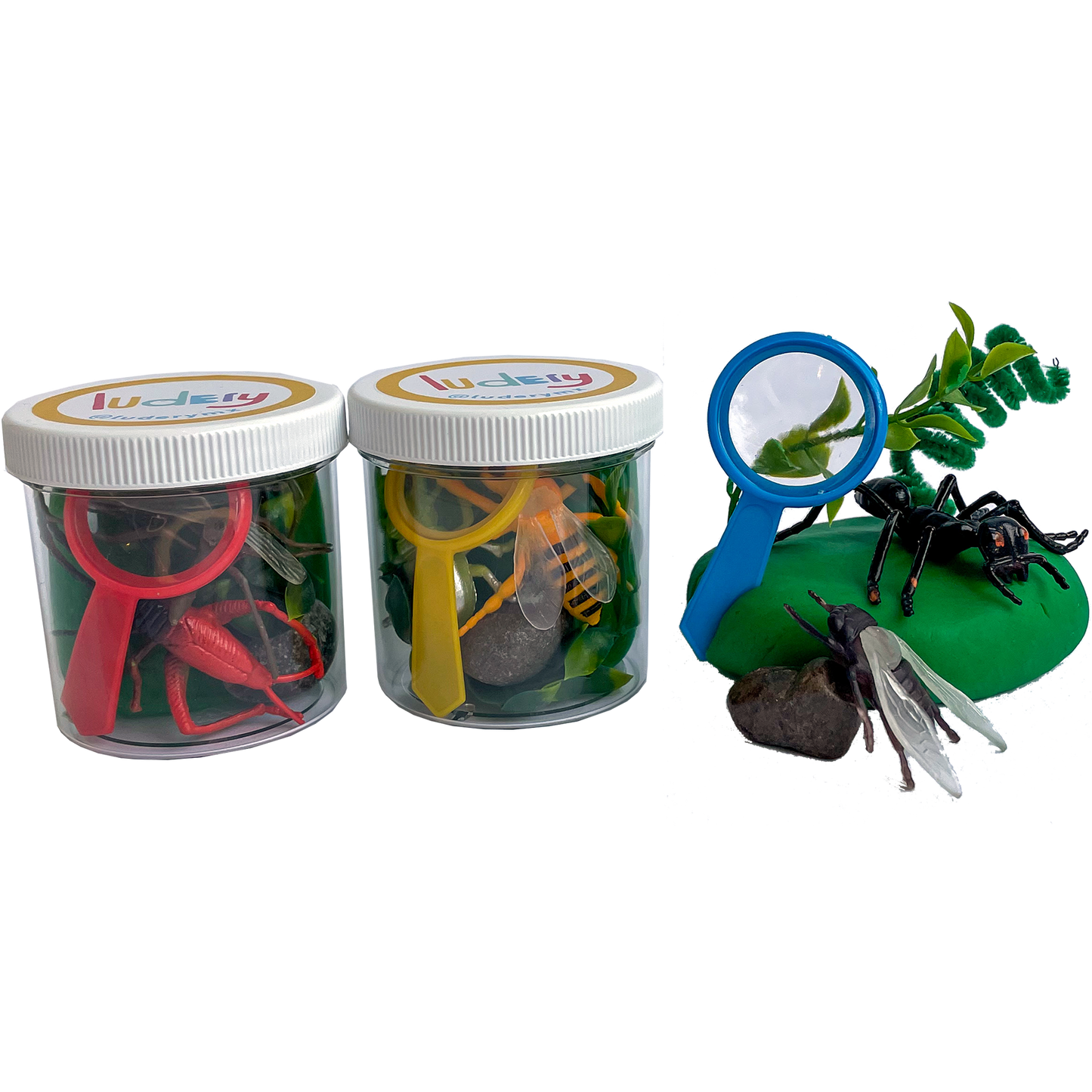 Insectos